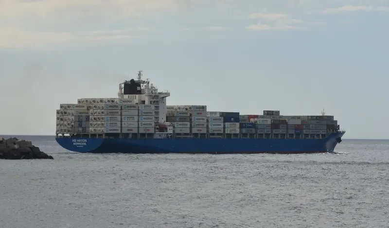 MSC SHANVI Container Ship IMO 9392561 photo 9