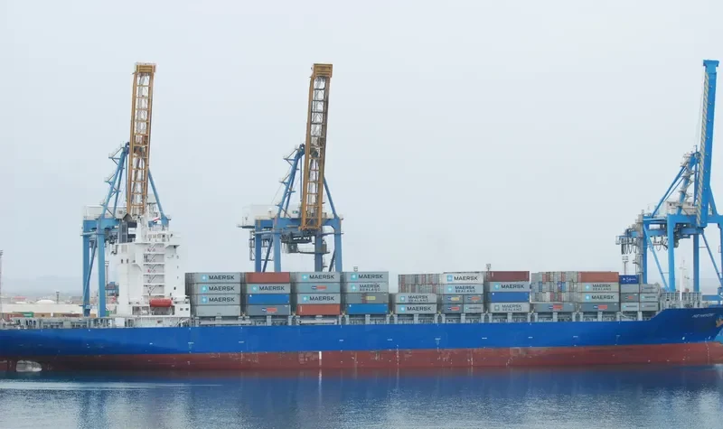 MSC SHANVI Container Ship IMO 9392561 photo 10