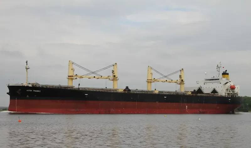 ADITYA Bulk Carrier IMO 9392729 photo 7