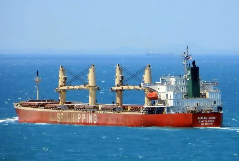 JAHAN MONI Bulk Carrier IMO 9392731 photo 3