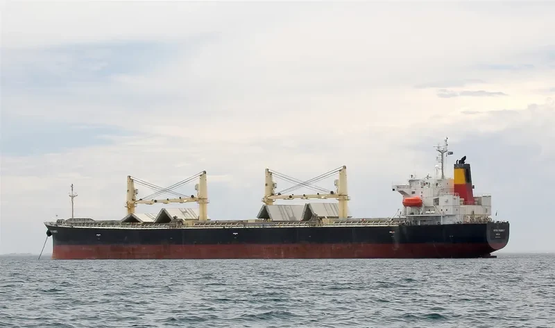 JAHAN MONI Bulk Carrier IMO 9392731 photo 4