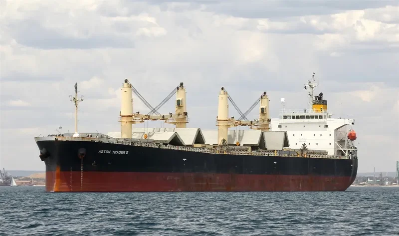 JAHAN MONI Bulk Carrier IMO 9392731 photo 5