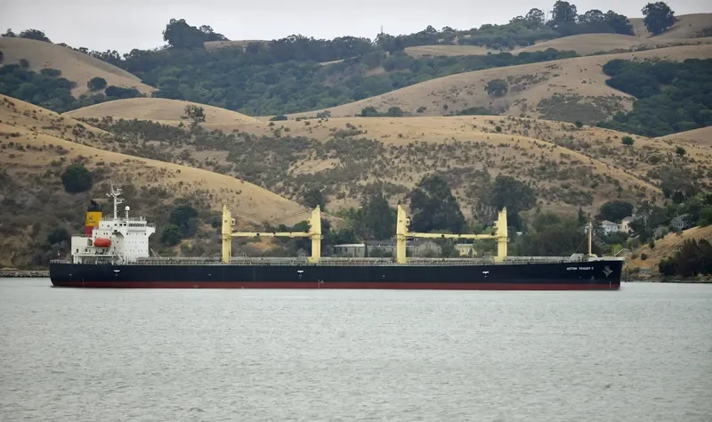 JAHAN MONI Bulk Carrier IMO 9392731 photo 6