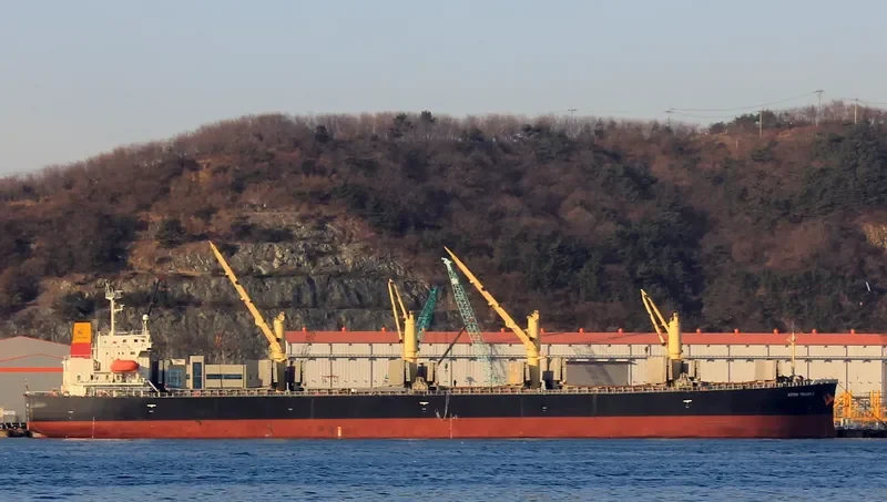 JAHAN MONI Bulk Carrier IMO 9392731 photo 7