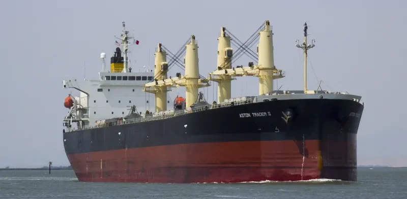 JAHAN MONI Bulk Carrier IMO 9392731 photo 8