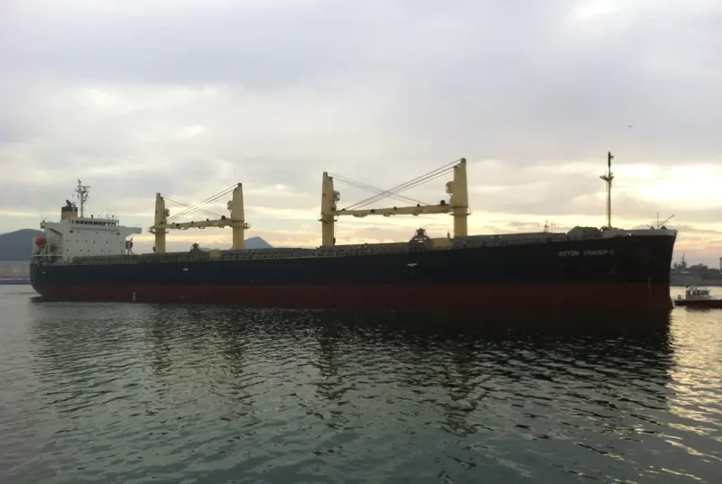 JAHAN MONI Bulk Carrier IMO 9392731 photo 10
