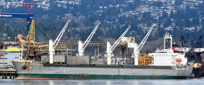 SN HARMONY Bulk Carrier IMO 9392810 photo 4