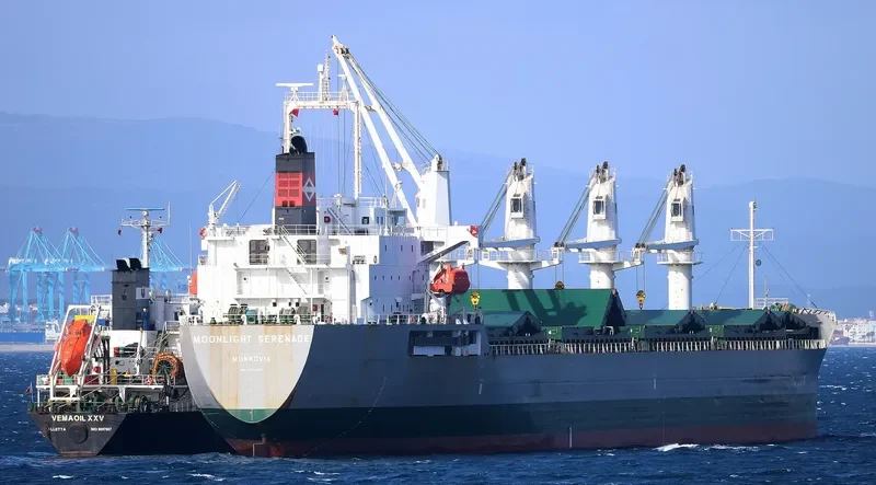 SN HARMONY Bulk Carrier IMO 9392810 photo 6