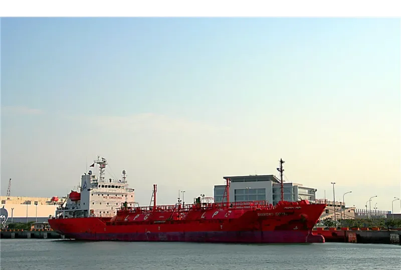 DIAMOND CORAL General Cargo IMO 9392884 photo 3