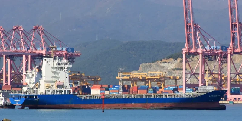 WES SINA Container Ship IMO 9392901 photo 3