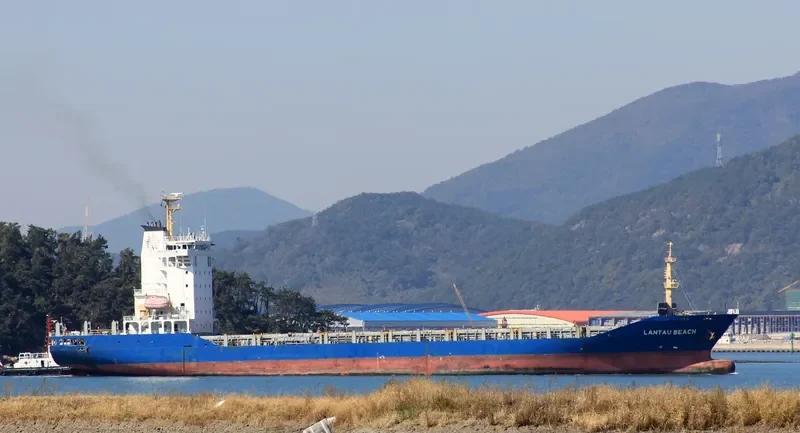 WES SINA Container Ship IMO 9392901 photo 4