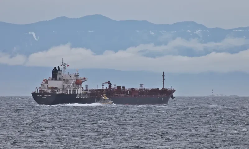 OPEC FORTUNE Tanker IMO 9393008 photo 5