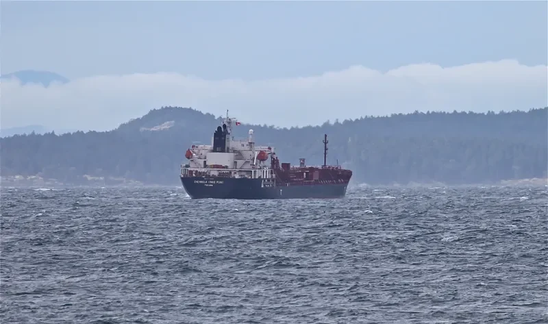 OPEC FORTUNE Tanker IMO 9393008 photo 6