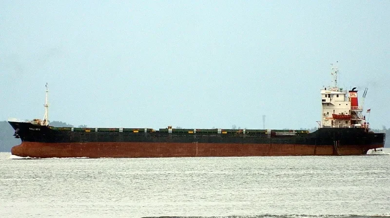 BALI AYU General Cargo IMO 9393046 photo 2