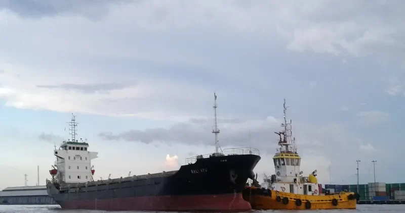 BALI AYU General Cargo IMO 9393046 photo 6