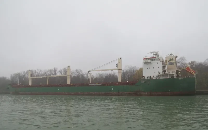 BLACKY Bulk Carrier IMO 9393149 photo 5