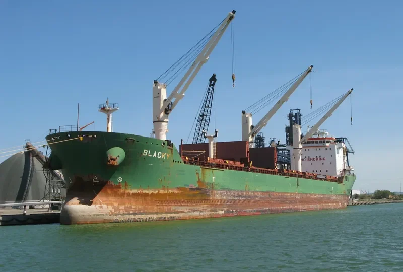 BLACKY Bulk Carrier IMO 9393149 photo 6