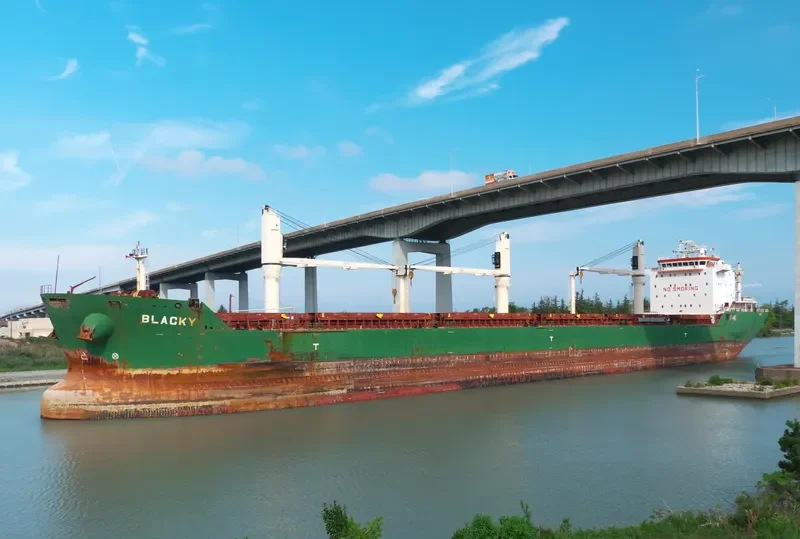 BLACKY Bulk Carrier IMO 9393149 photo 7