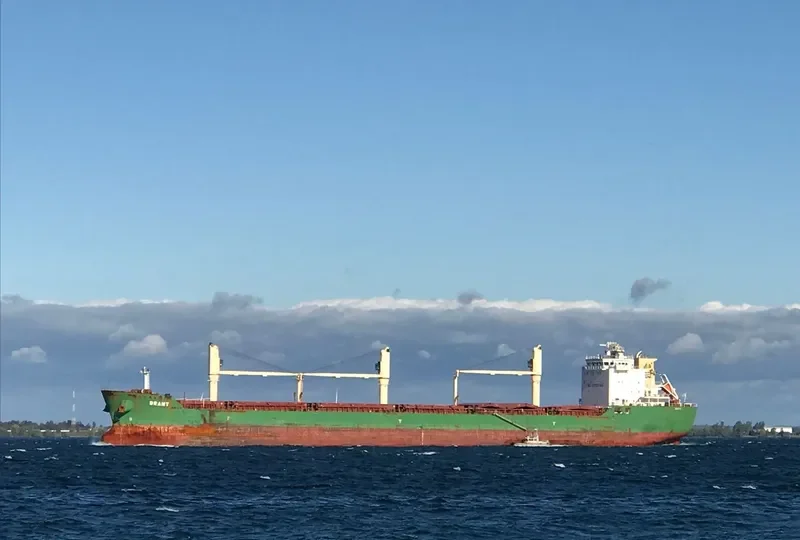 BRANT Bulk Carrier IMO 9393151