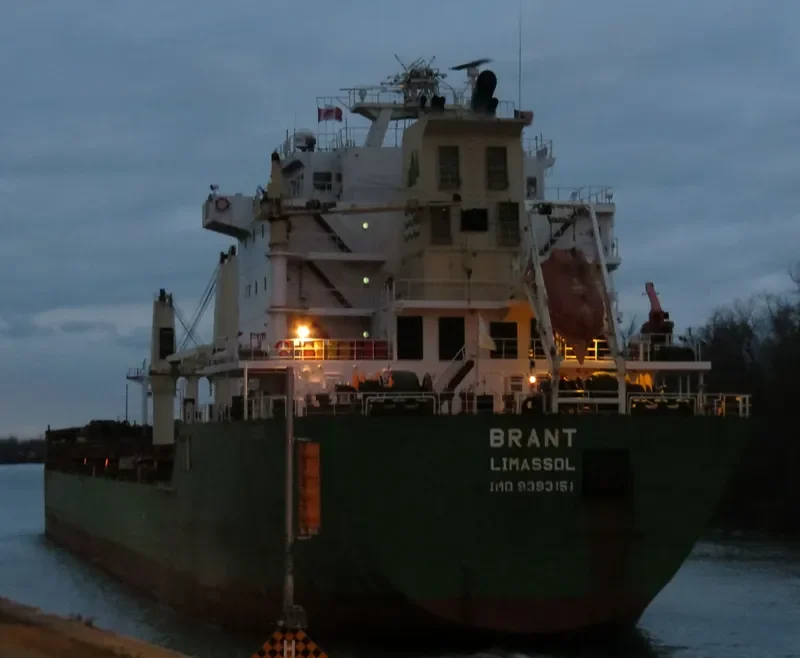 BRANT Bulk Carrier IMO 9393151 photo 2