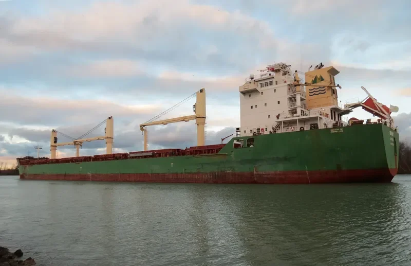 BRANT Bulk Carrier IMO 9393151 photo 3