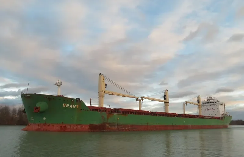 BRANT Bulk Carrier IMO 9393151 photo 4