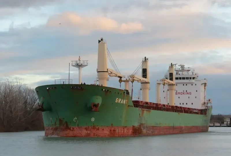 BRANT Bulk Carrier IMO 9393151 photo 5