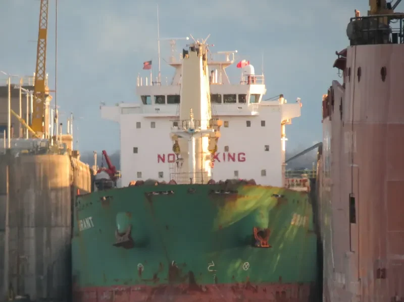 BRANT Bulk Carrier IMO 9393151 photo 6