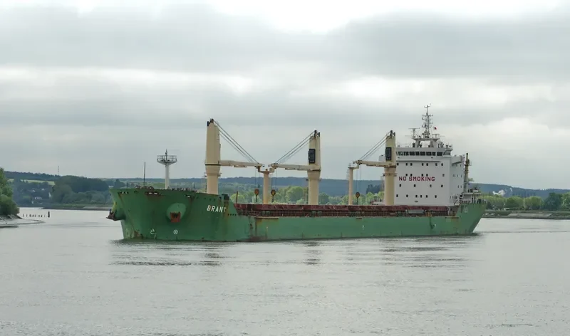 BRANT Bulk Carrier IMO 9393151 photo 7