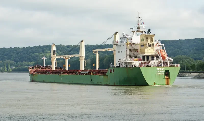 BRANT Bulk Carrier IMO 9393151 photo 8