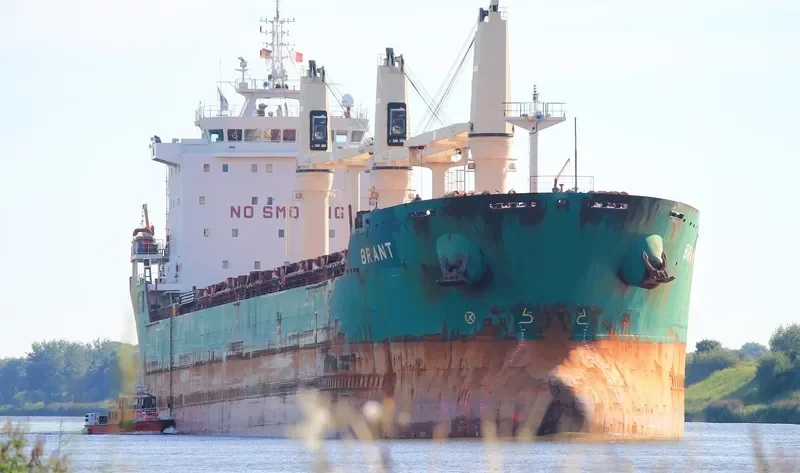 BRANT Bulk Carrier IMO 9393151 photo 9