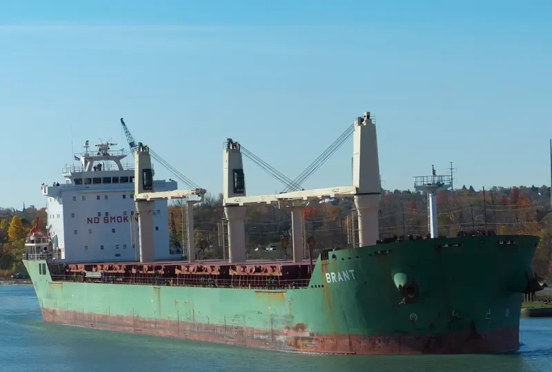 BRANT Bulk Carrier IMO 9393151 photo 10