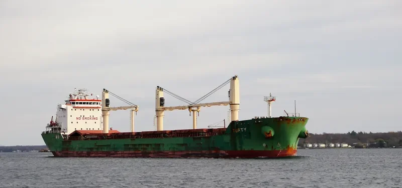 TUFTY Bulk Carrier IMO 9393163