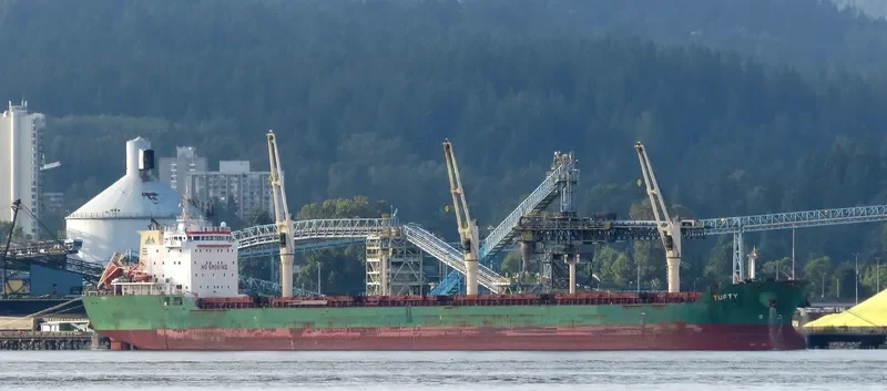 TUFTY Bulk Carrier IMO 9393163 photo 3