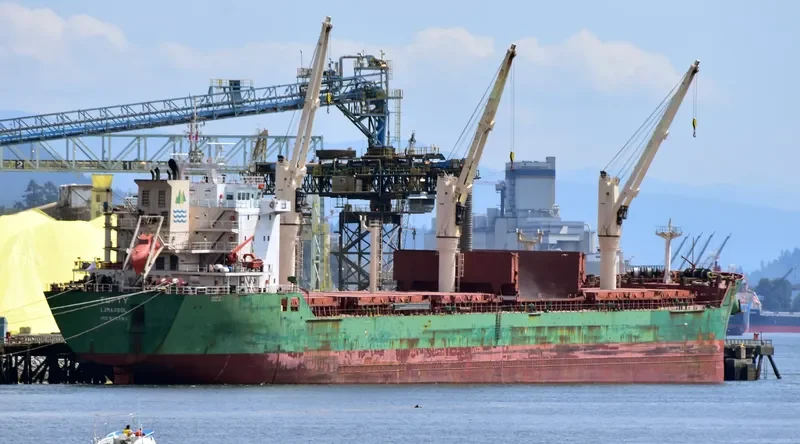 TUFTY Bulk Carrier IMO 9393163 photo 4