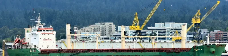TUFTY Bulk Carrier IMO 9393163 photo 6