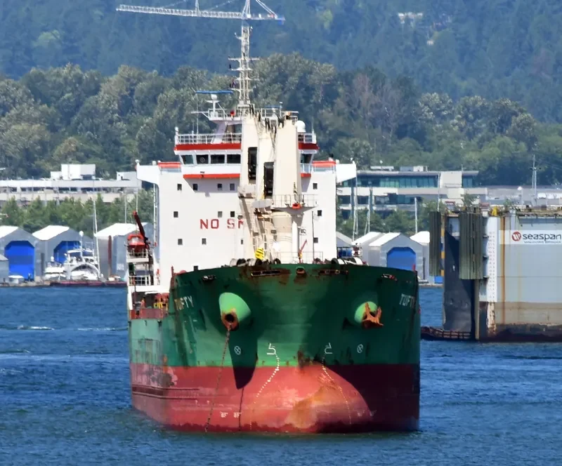 TUFTY Bulk Carrier IMO 9393163 photo 9