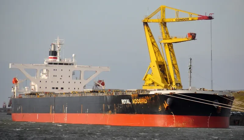 ROYAL IOLE Bulk Carrier IMO 9393187 photo 4