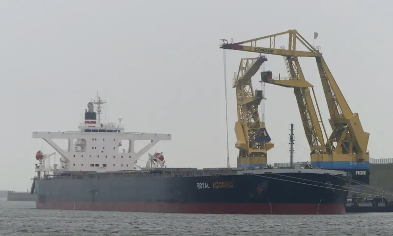 ROYAL IOLE Bulk Carrier IMO 9393187 photo 5