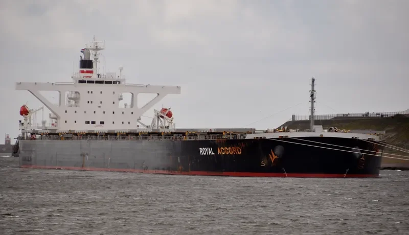 ROYAL IOLE Bulk Carrier IMO 9393187 photo 6