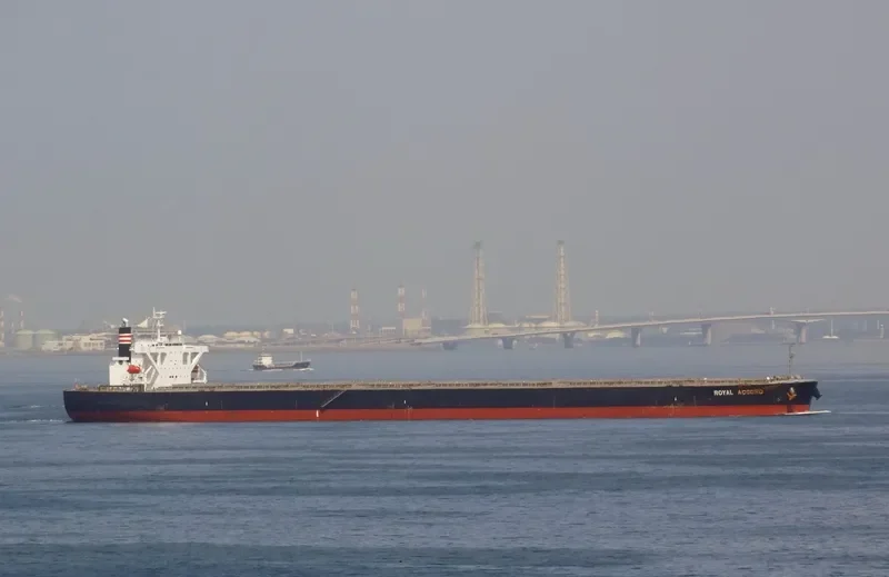 ROYAL IOLE Bulk Carrier IMO 9393187 photo 7