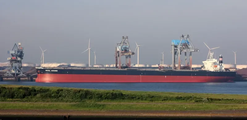 ROYAL IOLE Bulk Carrier IMO 9393187 photo 8