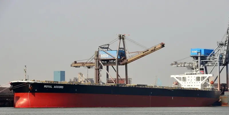 ROYAL IOLE Bulk Carrier IMO 9393187 photo 9