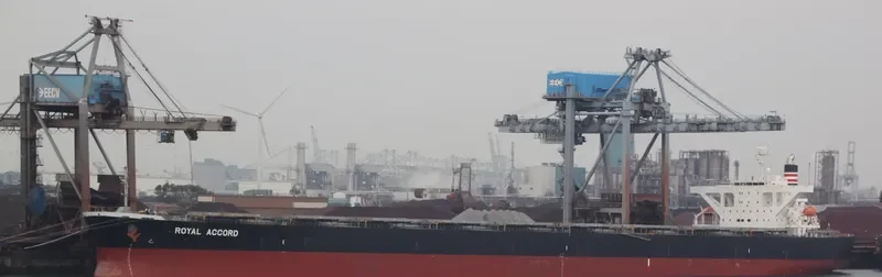 ROYAL IOLE Bulk Carrier IMO 9393187 photo 10