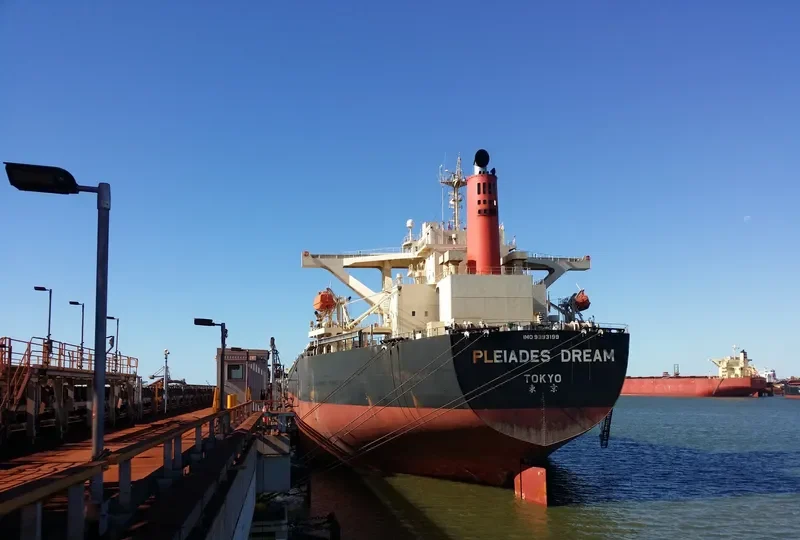 WINNING RISING Bulk Carrier IMO 9393199