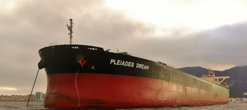 WINNING RISING Bulk Carrier IMO 9393199 photo 3