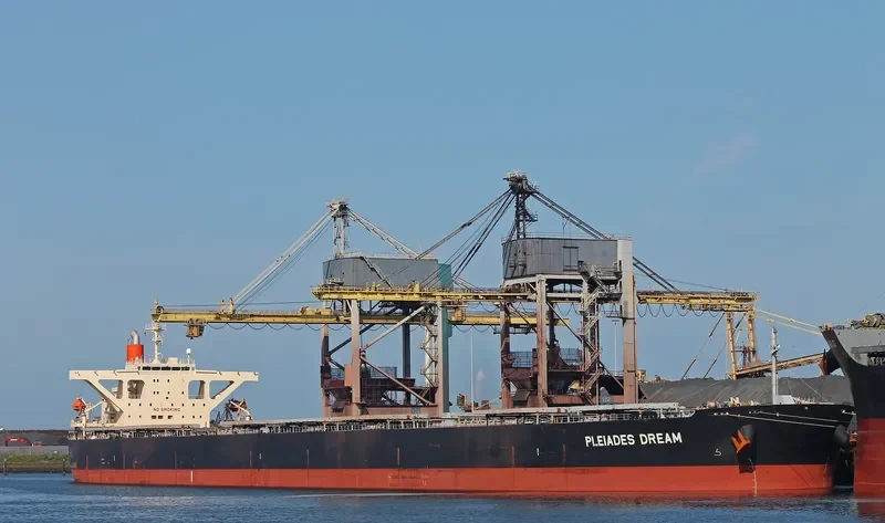 WINNING RISING Bulk Carrier IMO 9393199 photo 5