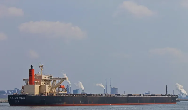 WINNING RISING Bulk Carrier IMO 9393199 photo 7