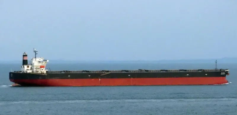 MOONLIGHT DOLPHIN Bulk Carrier IMO 9393216 photo 3