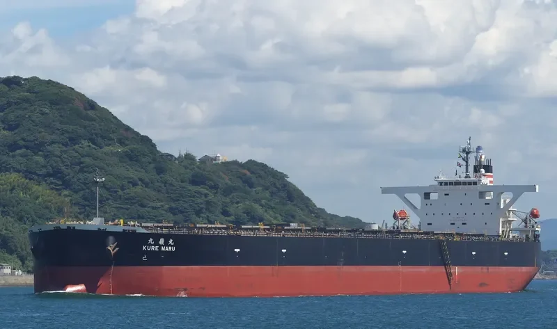 MOONLIGHT DOLPHIN Bulk Carrier IMO 9393216 photo 8